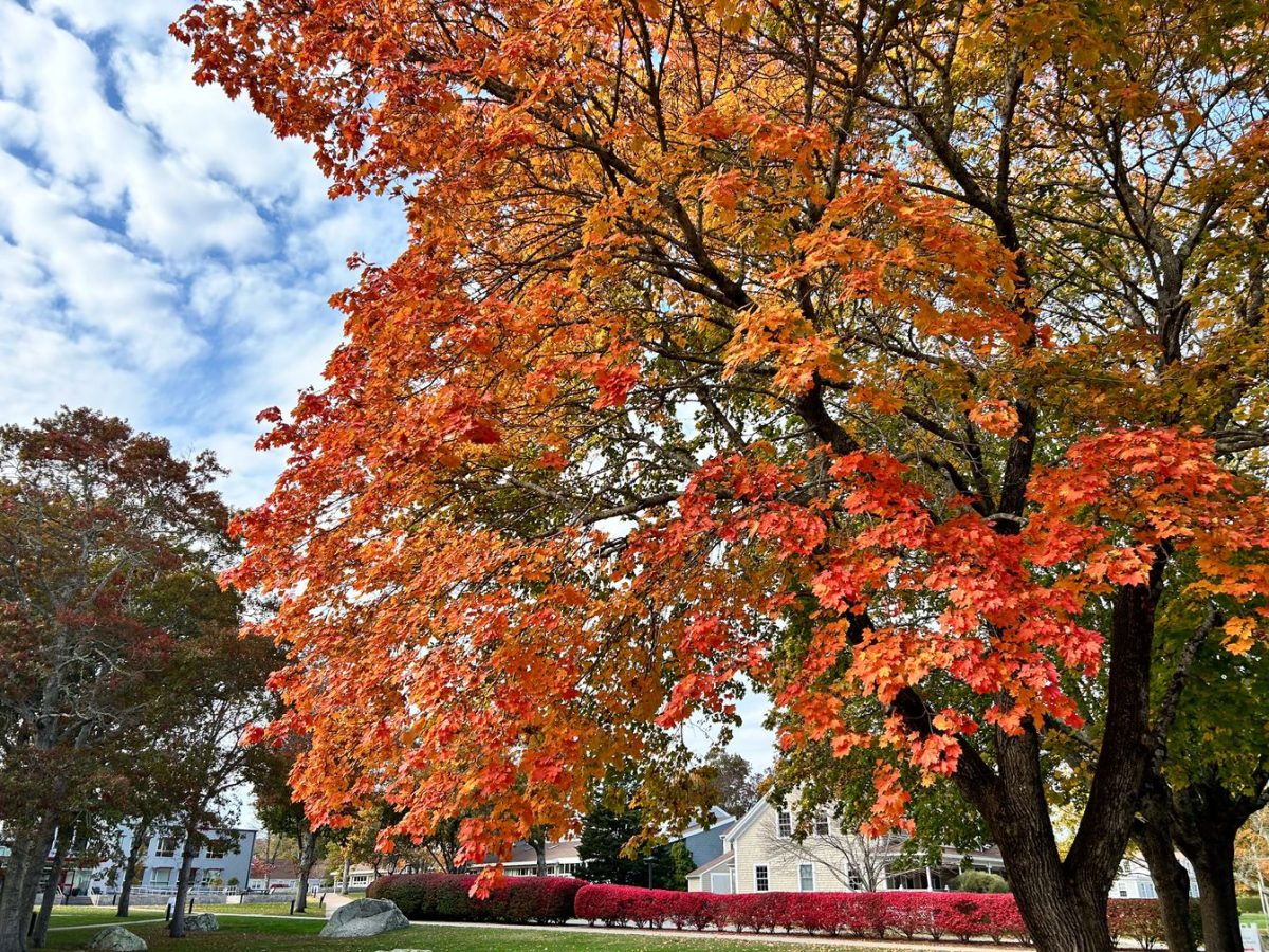 Fall Family Weekend