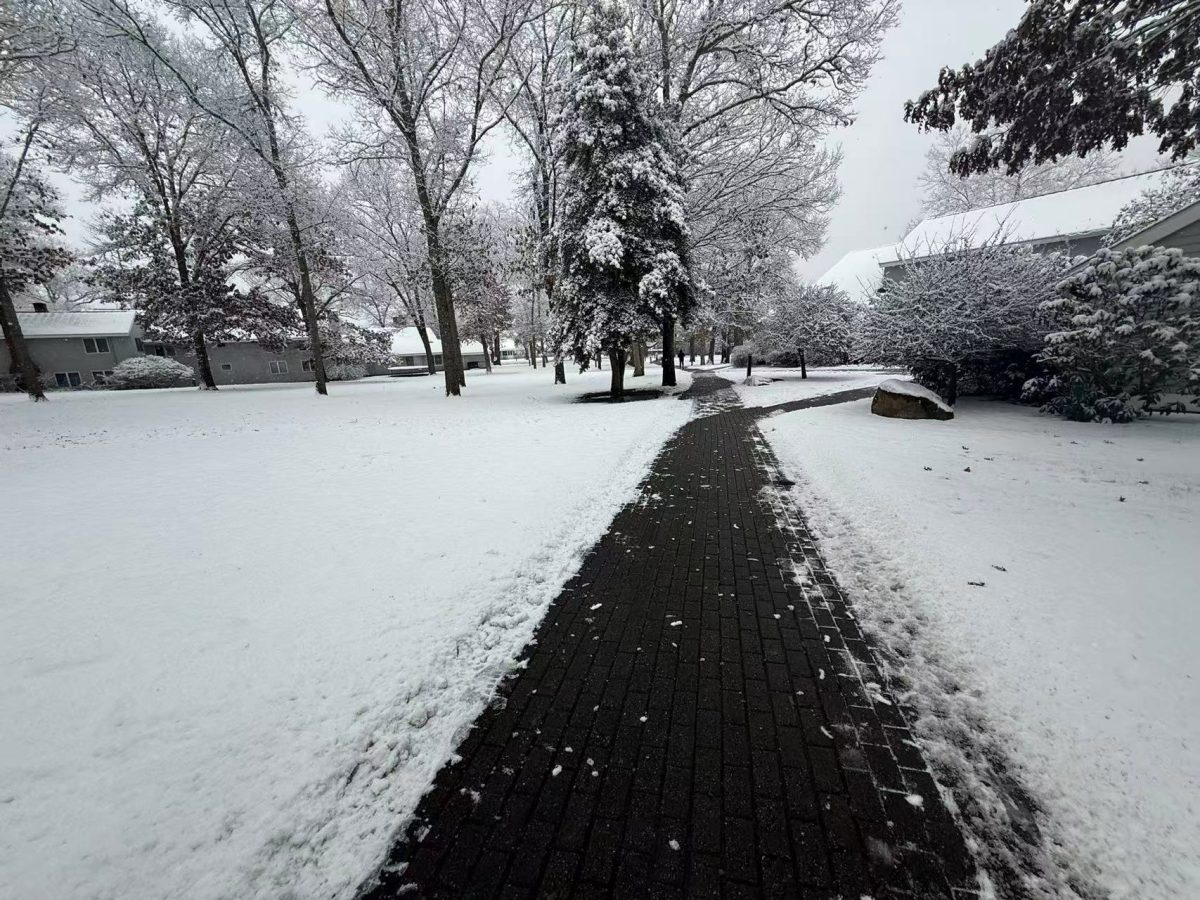 White Christmas!